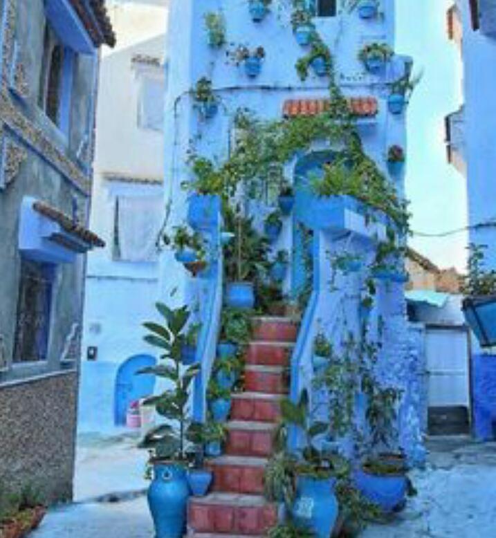 Casa Dreams Chaouen Lejlighed Chefchaouen Eksteriør billede