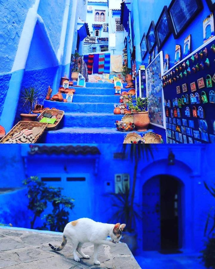 Casa Dreams Chaouen Lejlighed Chefchaouen Eksteriør billede